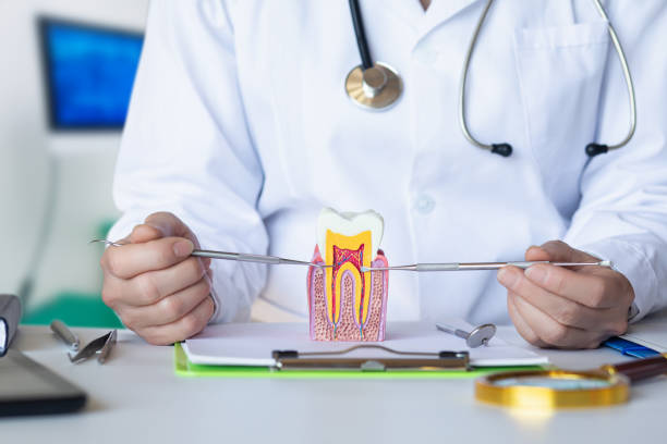 Best Chipped Tooth Repair Near Me  in Woodbury Heights, NJ